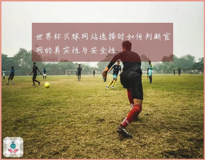世界杯买球网站选择时如何判断官网的真实性与安全性
