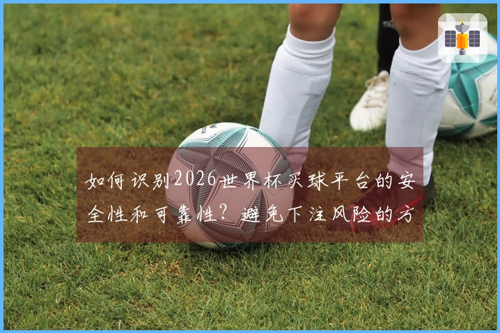如何识别2026世界杯买球平台的安全性和可靠性？避免下注风险的方法分享