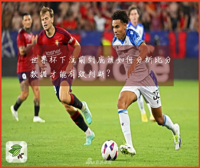 世界杯下注前到底该如何分析比分数据才能有效判断？