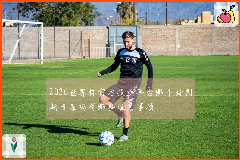 2026世界杯官方投注平台哪个好判断可靠吗有哪些注意事项