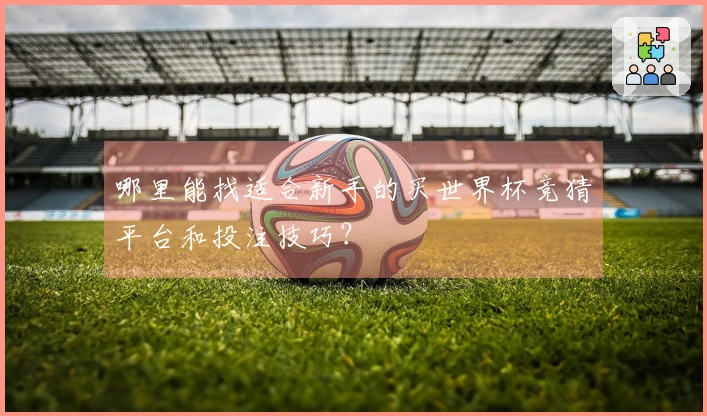 哪里能找适合新手的买世界杯竞猜平台和投注技巧？