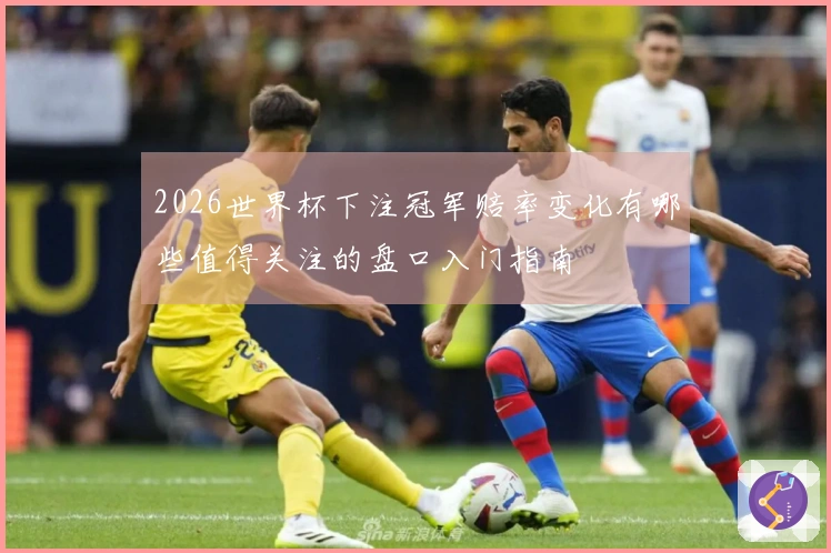 2026世界杯下注冠军赔率变化有哪些值得关注的盘口入门指南