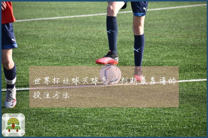 世界杯让球买球怎么判断最靠谱的投注方法
