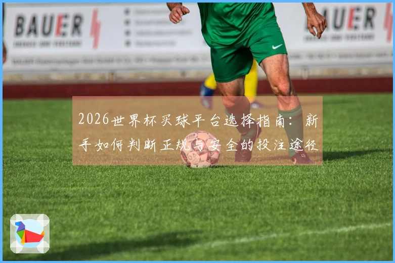 2026世界杯买球平台选择指南：新手如何判断正规与安全的投注途径