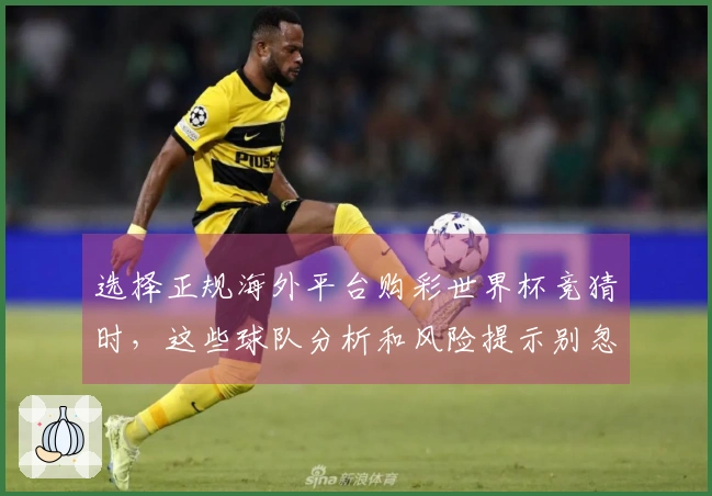 选择正规海外平台购彩世界杯竞猜时，这些球队分析和风险提示别忽略