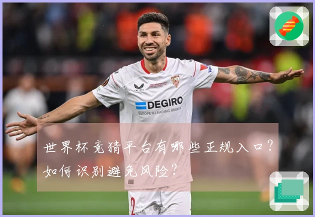 世界杯竞猜平台有哪些正规入口？如何识别避免风险？