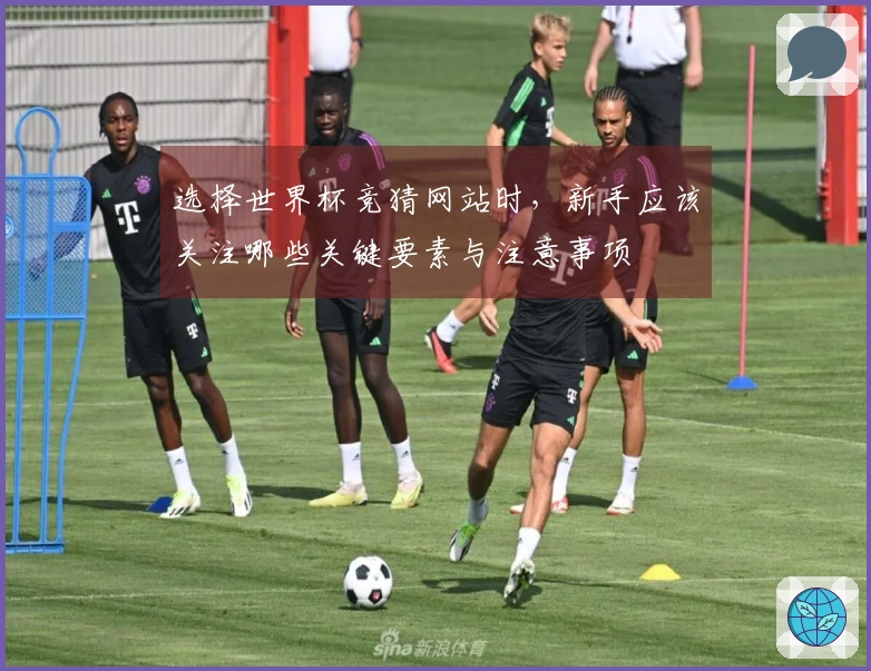 选择世界杯竞猜网站时，新手应该关注哪些关键要素与注意事项