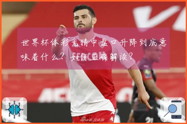 世界杯体彩竞猜中盘口升降到底意味着什么？如何正确解读？
