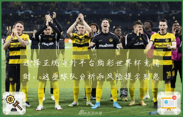 选择正规海外平台购彩世界杯竞猜时，这些球队分析和风险提示别忽略