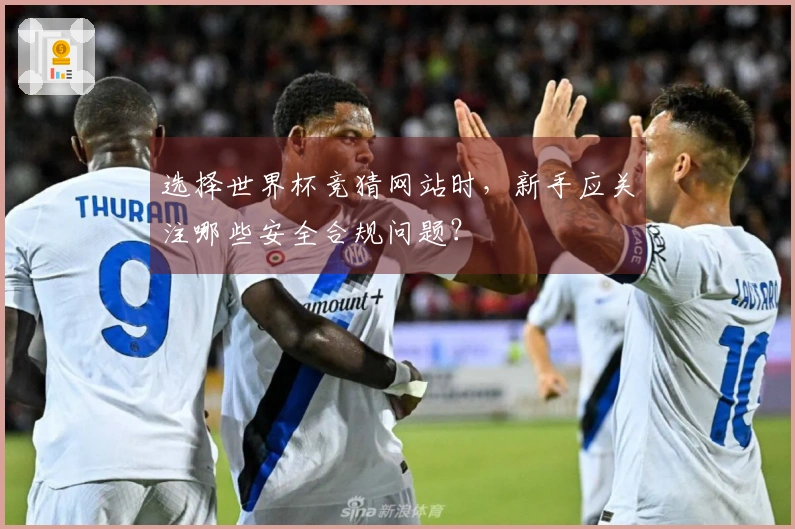 选择世界杯竞猜网站时，新手应关注哪些安全合规问题？