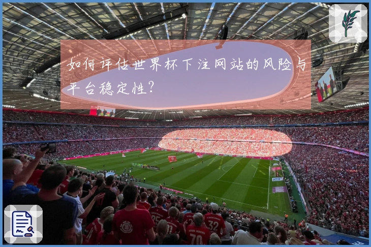 如何评估世界杯下注网站的风险与平台稳定性？