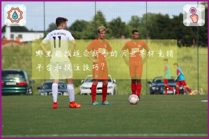哪里能找适合新手的买世界杯竞猜平台和投注技巧？