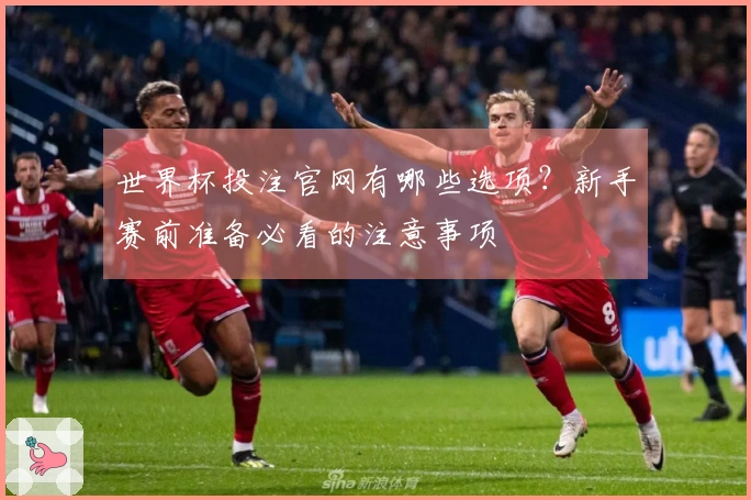 世界杯投注官网有哪些选项？新手赛前准备必看的注意事项