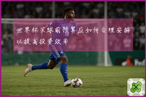 世界杯买球前预算应如何合理安排以提高投资效率
