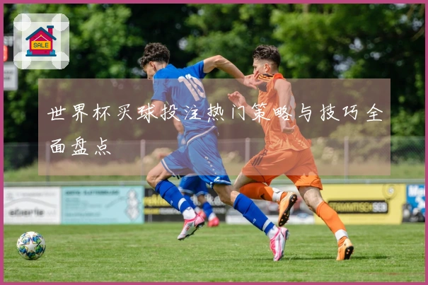 世界杯买球投注热门策略与技巧全面盘点