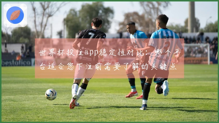 世界杯投注app稳定性对比：哪个平台适合您下注前需要了解的关键点？
