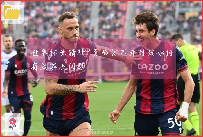 世界杯竞猜APP页面打不开时该如何有效解决问题