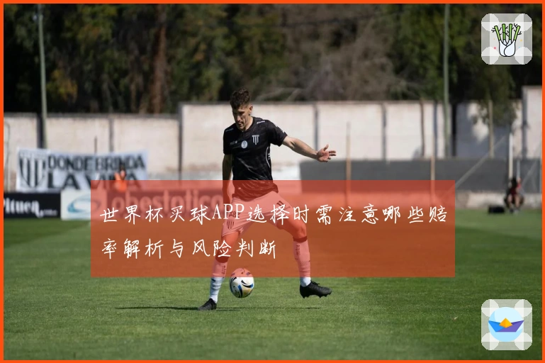世界杯买球APP选择时需注意哪些赔率解析与风险判断