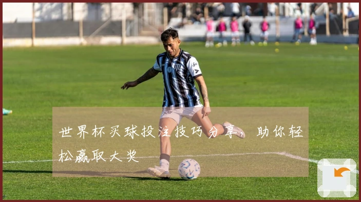 世界杯买球投注技巧分享，助你轻松赢取大奖