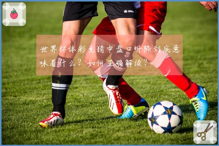 世界杯体彩竞猜中盘口升降到底意味着什么？如何正确解读？