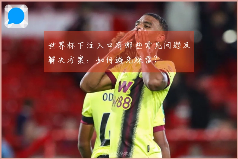 世界杯下注入口有哪些常见问题及解决方案，如何避免踩雷？