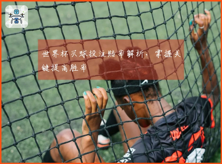 世界杯买球投注赔率解析，掌握关键提高胜率
