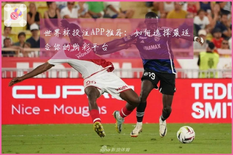 世界杯投注APP推荐：如何选择最适合你的购彩平台