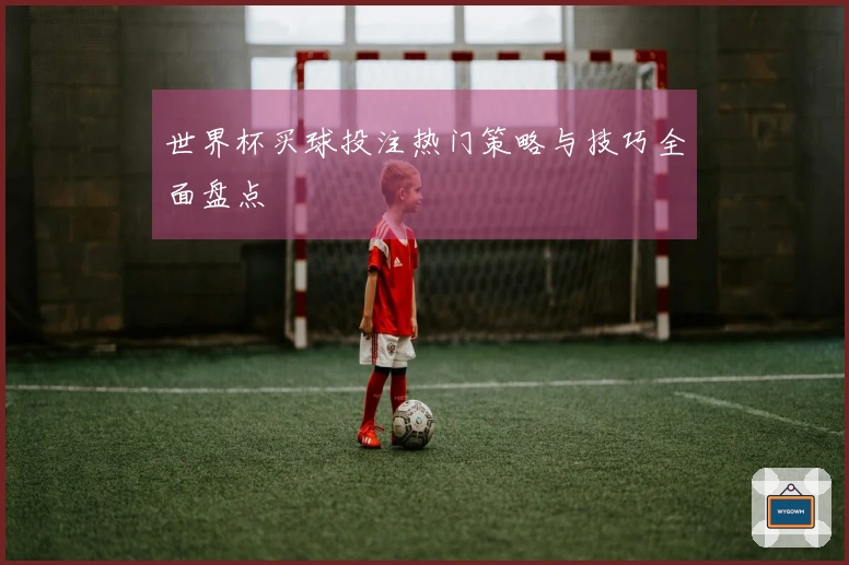世界杯买球投注热门策略与技巧全面盘点