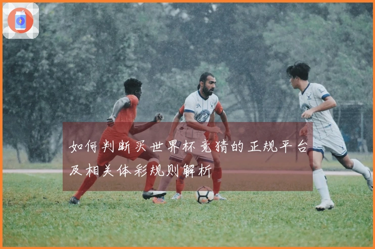 如何判断买世界杯竞猜的正规平台及相关体彩规则解析
