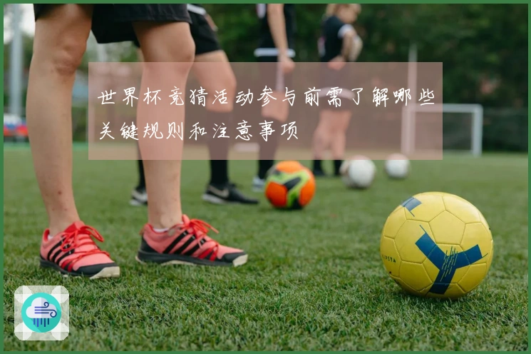 世界杯竞猜活动参与前需了解哪些关键规则和注意事项