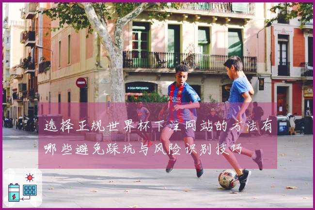 选择正规世界杯下注网站的方法有哪些避免踩坑与风险识别技巧