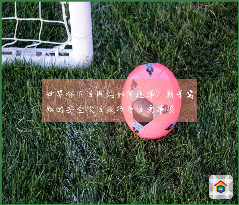 世界杯下注网站如何选择？新手需知的安全投注技巧与注意事项