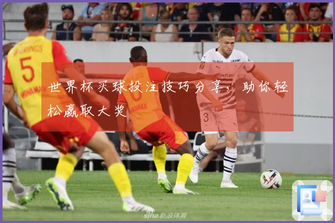 世界杯买球投注技巧分享，助你轻松赢取大奖