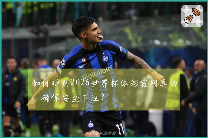 如何辨别2026世界杯体彩官网真伪，确保安全下注？