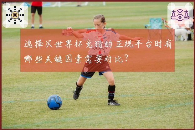 选择买世界杯竞猜的正规平台时有哪些关键因素需要对比？