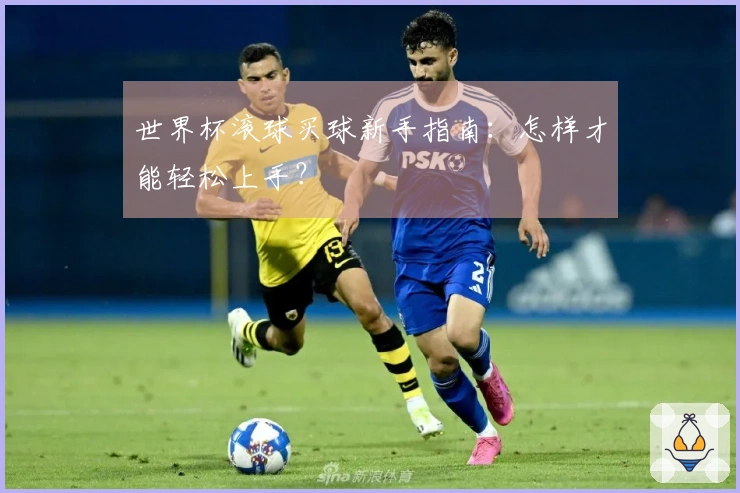 世界杯滚球买球新手指南：怎样才能轻松上手？
