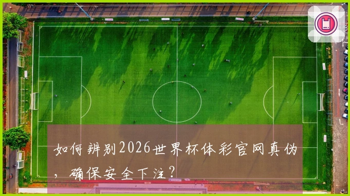 如何辨别2026世界杯体彩官网真伪，确保安全下注？